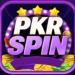 PKR Spin game