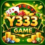 Y333 Game
